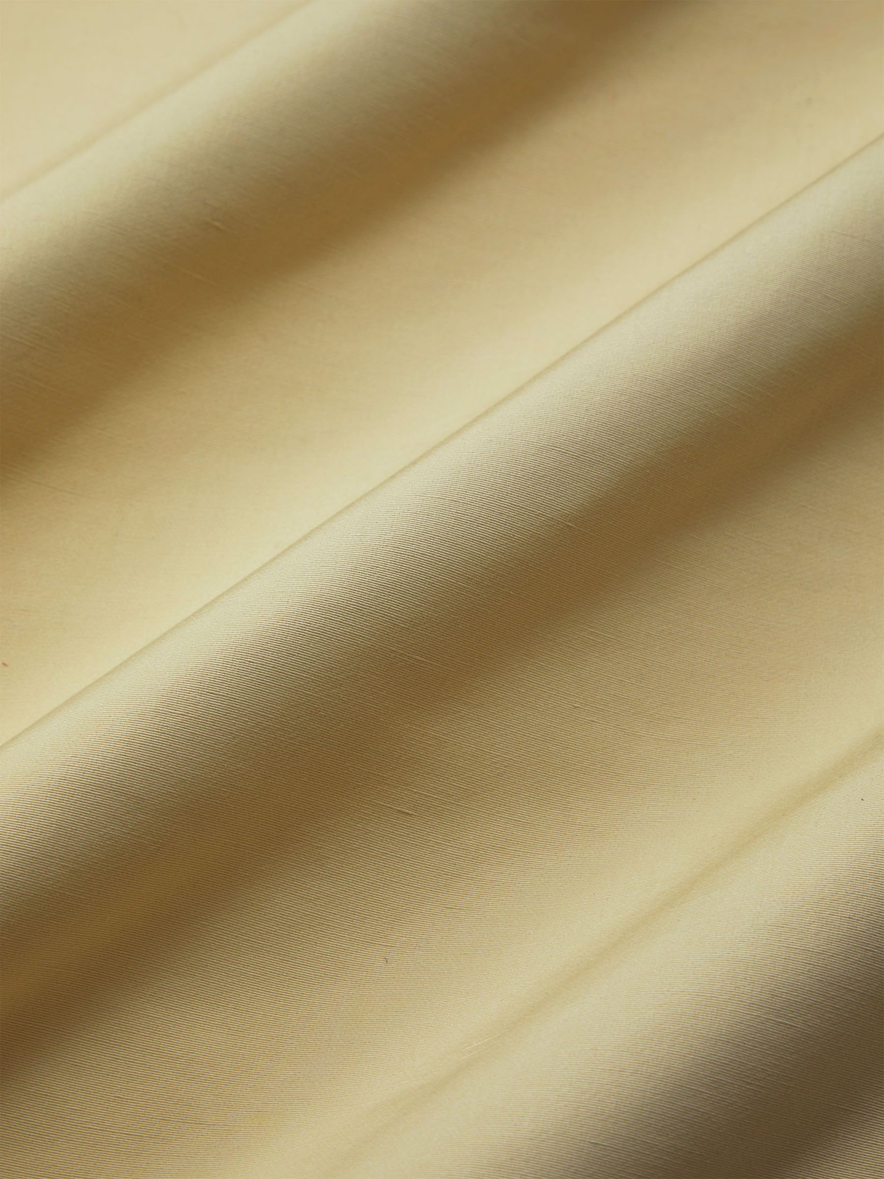 Parchment Vellum