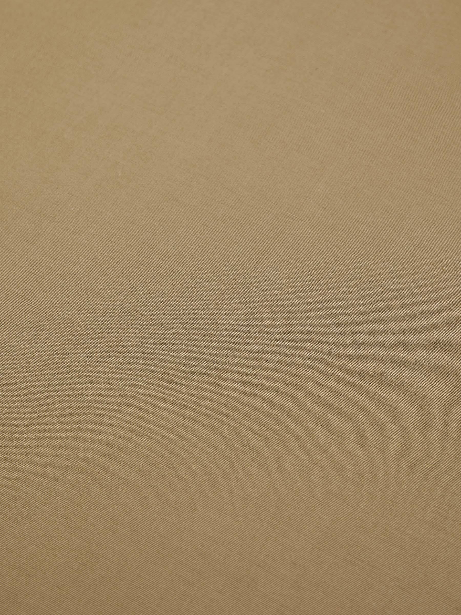 Parchment Cardboard
