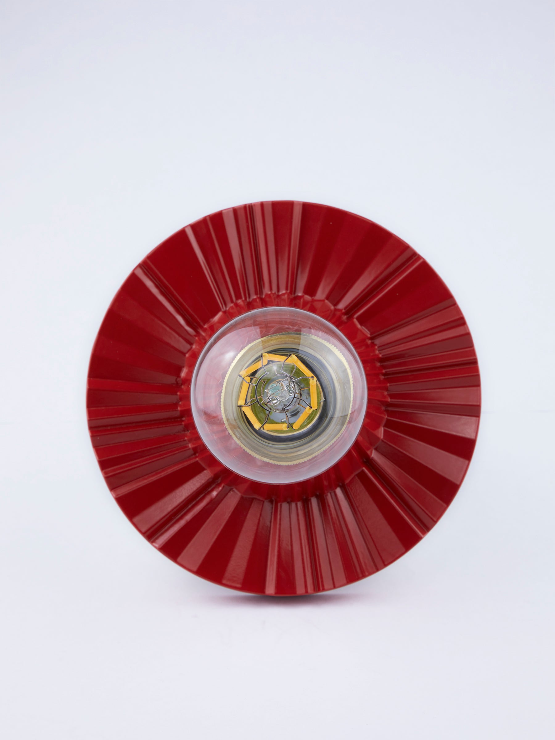 Crinkle Light Poppy