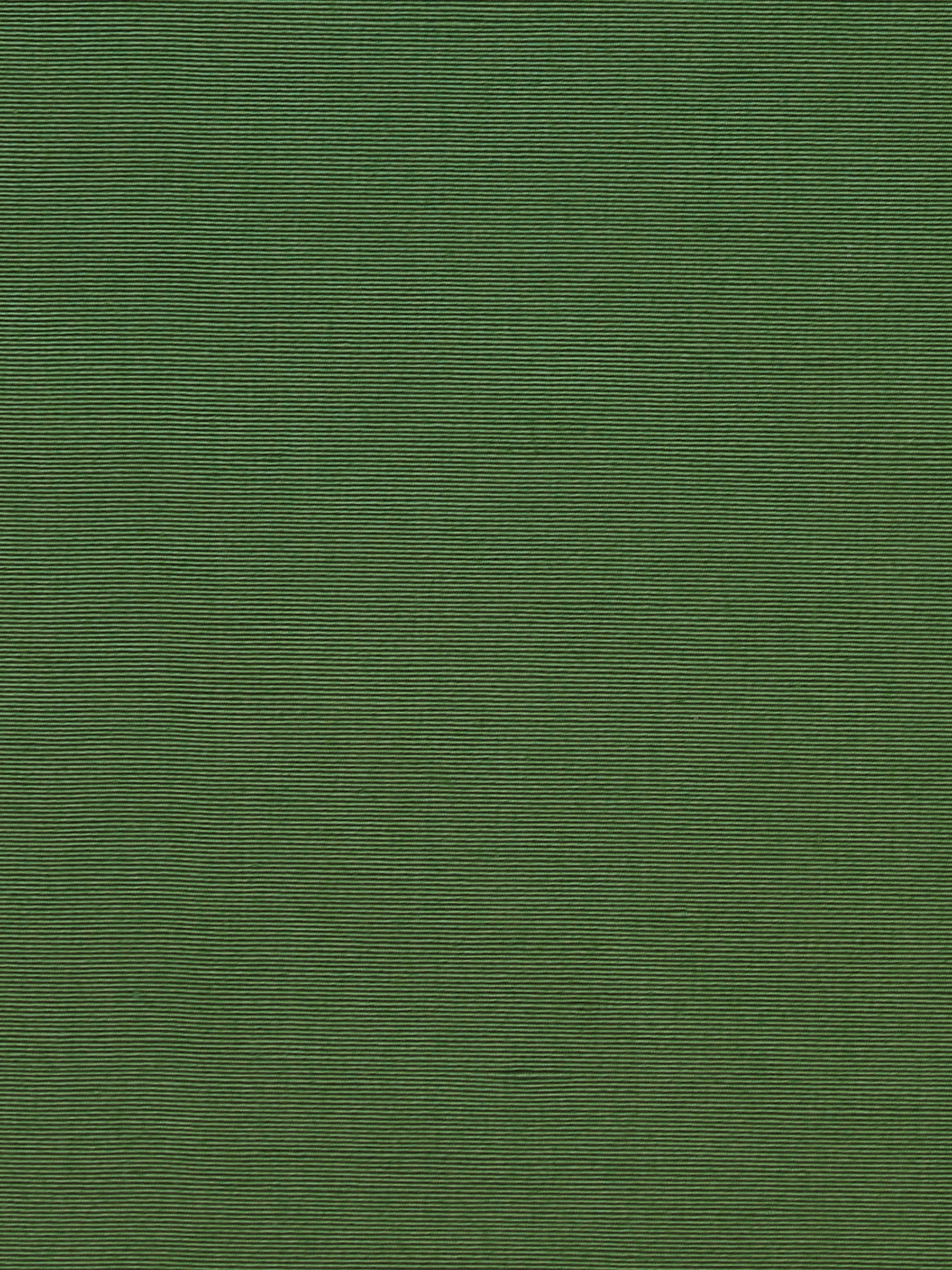 Parchment Fern