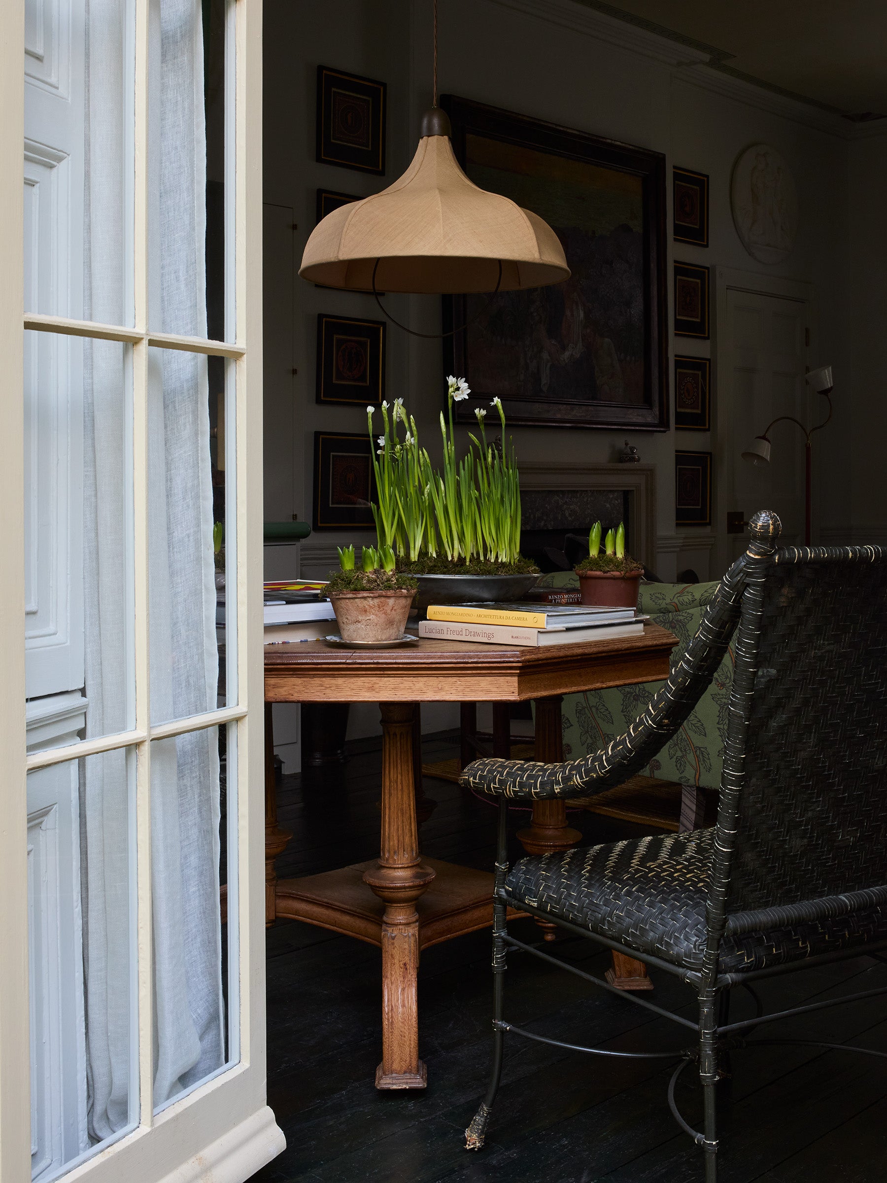 Brass Snowdrop Rise and Fall Light