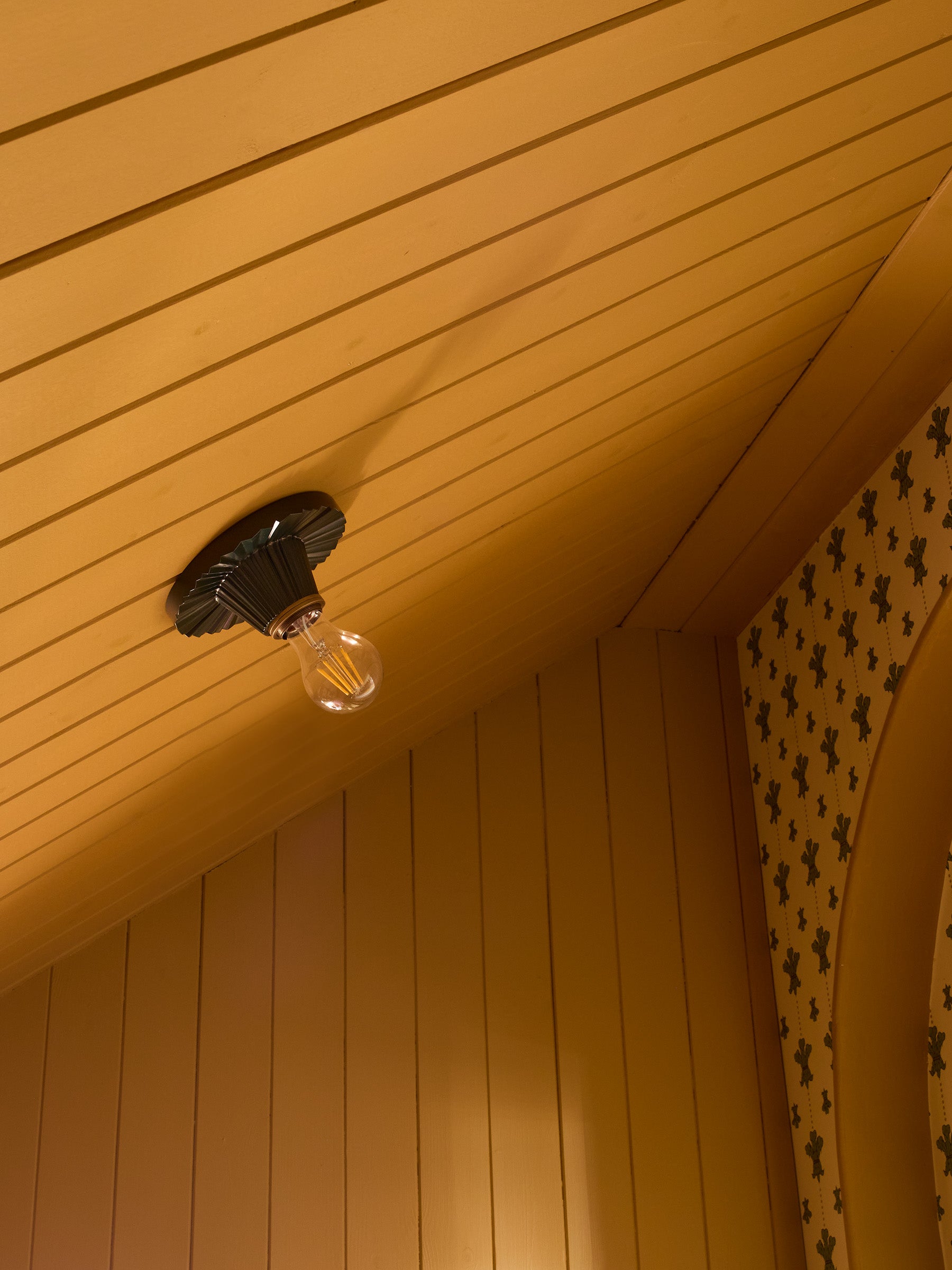 Crinkle Light Cavolo