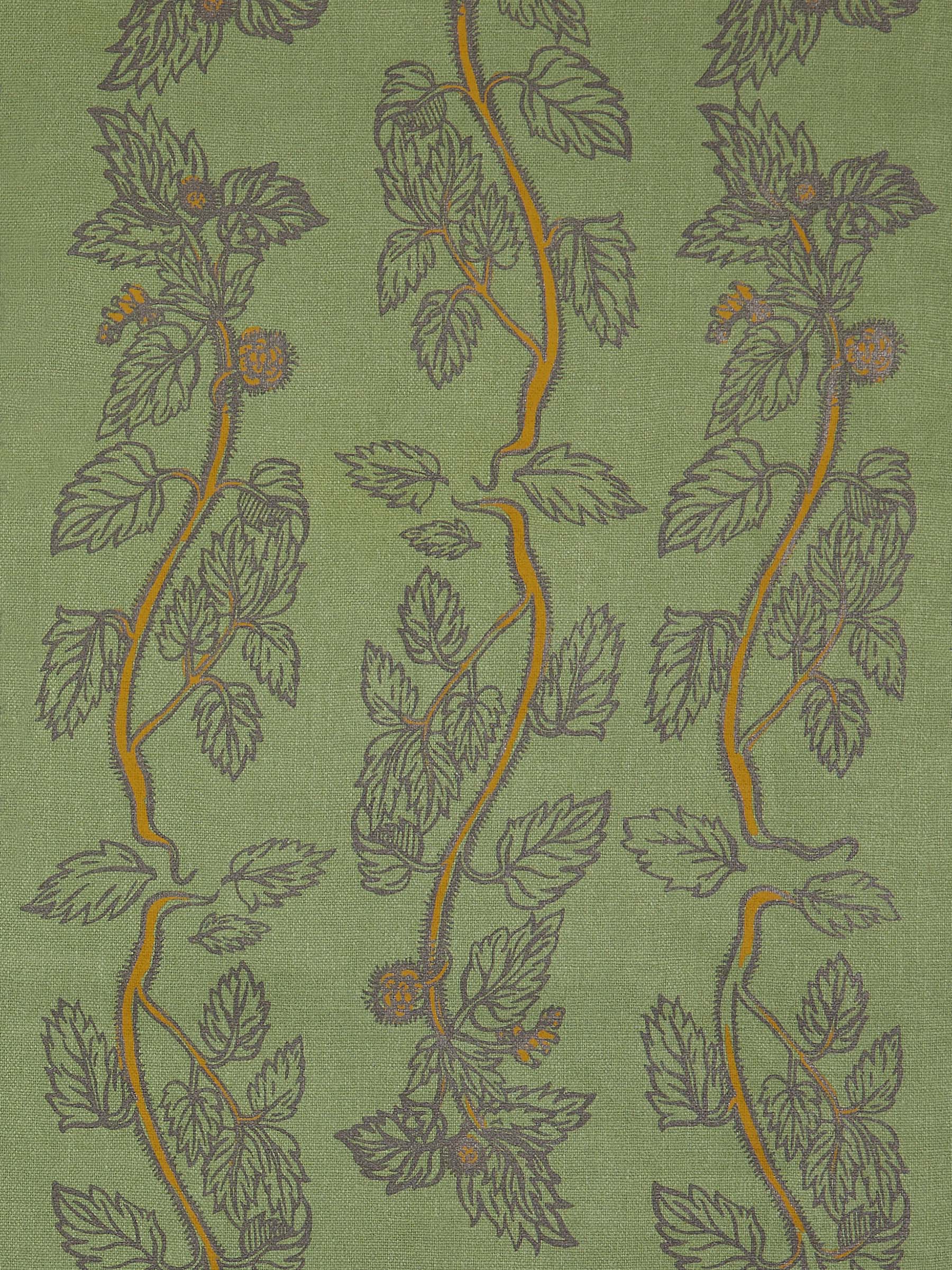 Nettle Sage
