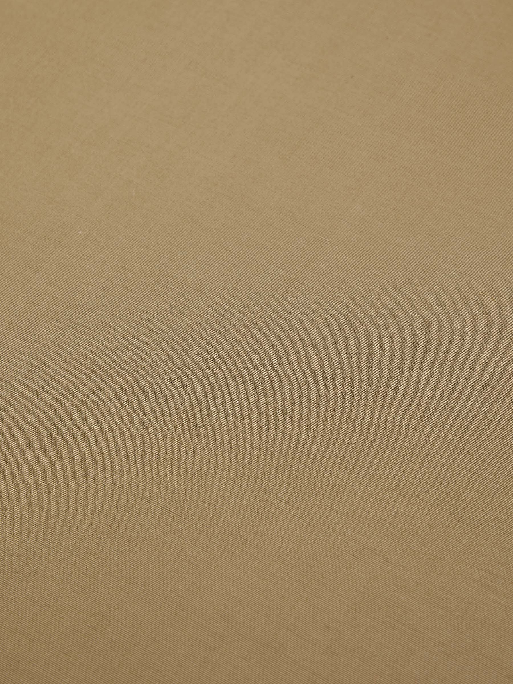 Parchment Cardboard
