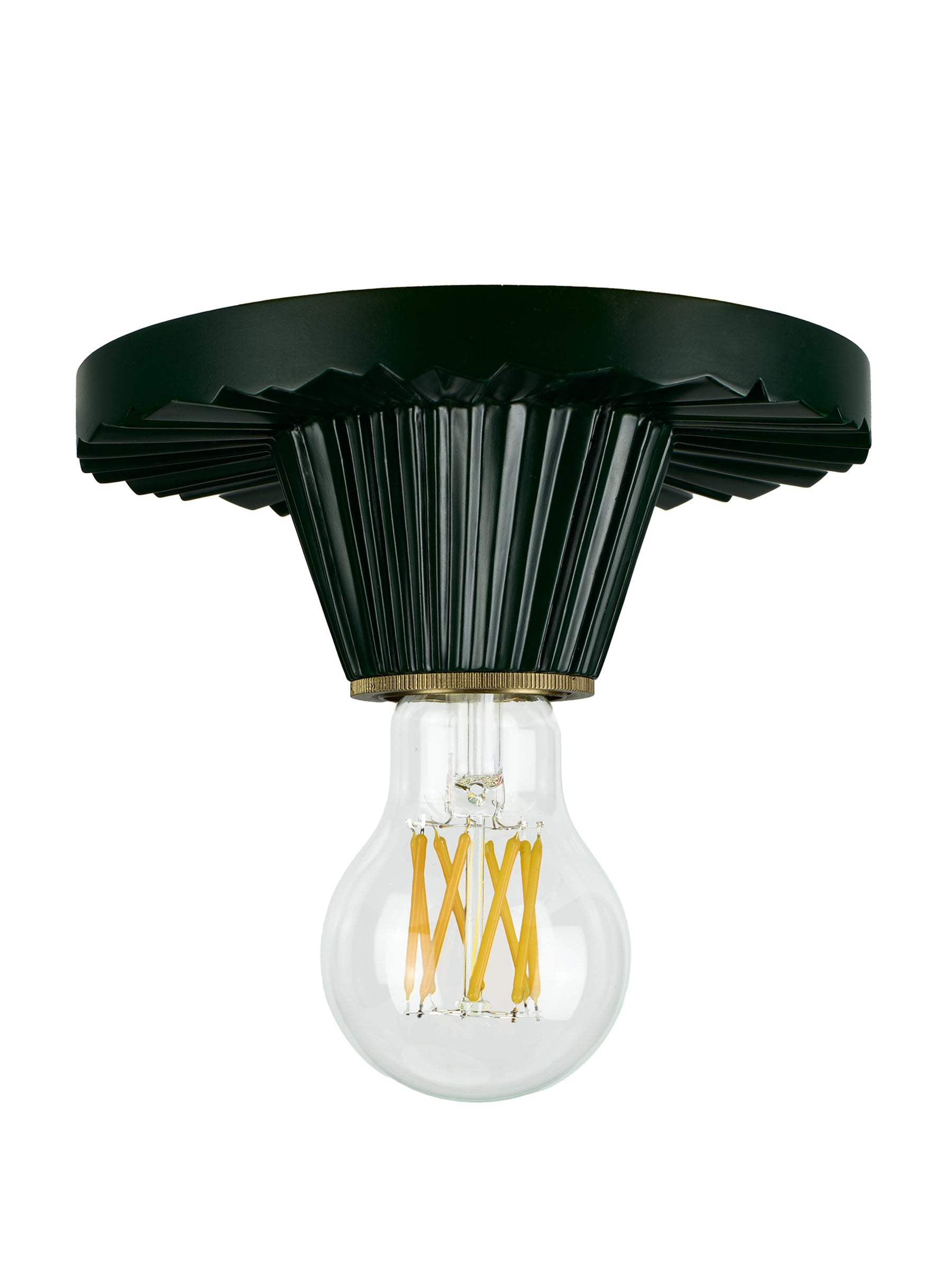 Crinkle Light Cavolo